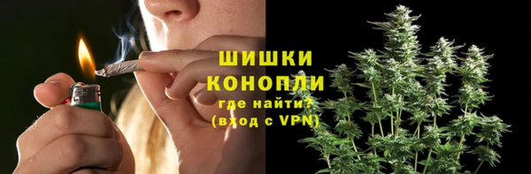 трава Алзамай