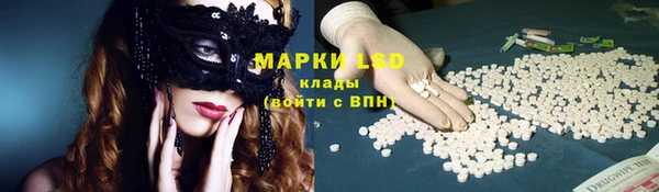 ПСИЛОЦИБИНОВЫЕ ГРИБЫ Алексеевка