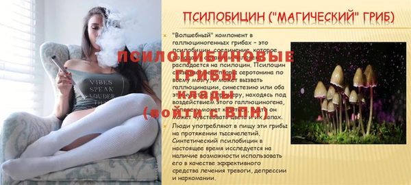 ПСИЛОЦИБИНОВЫЕ ГРИБЫ Алексеевка